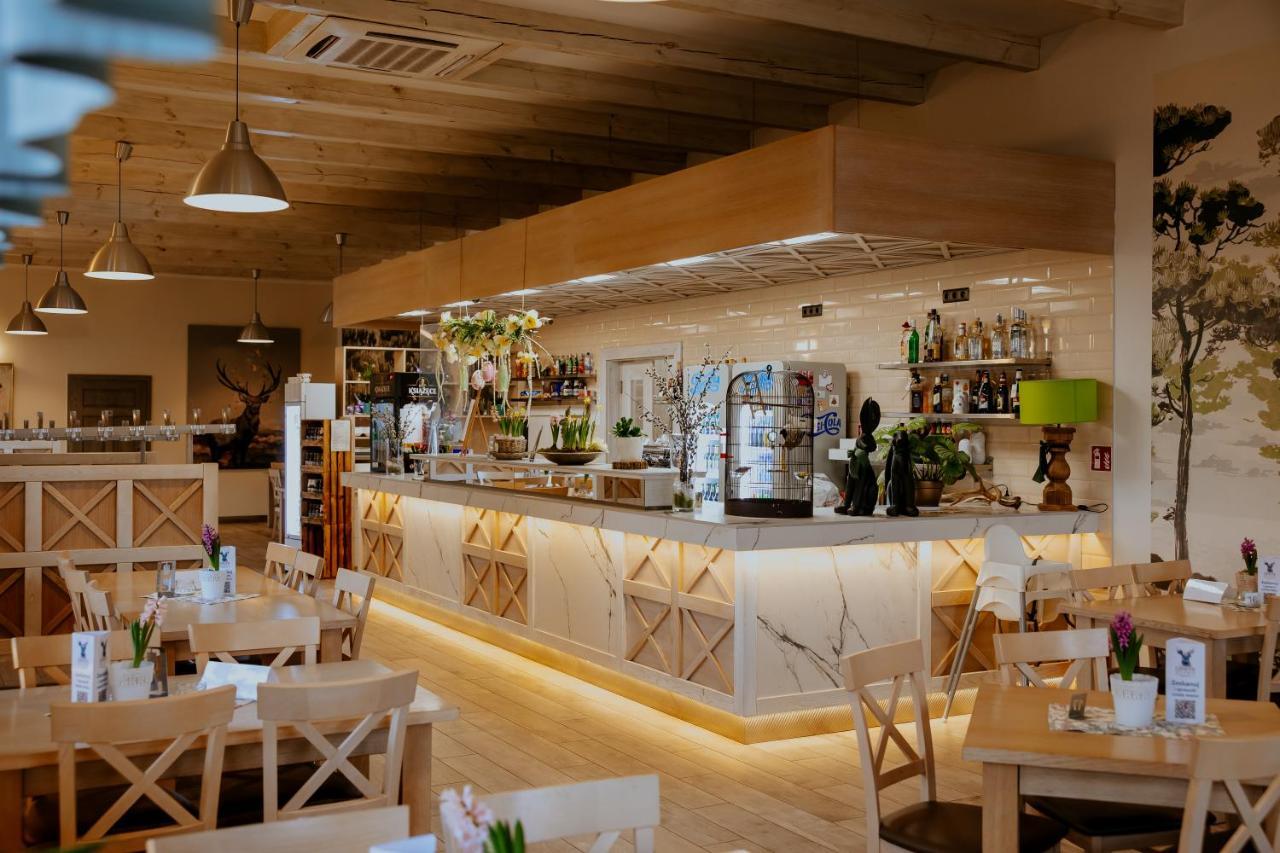 Hostel Greys Polonia